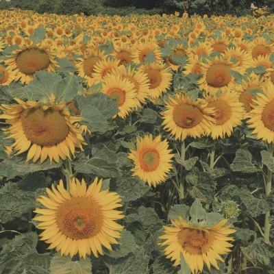 半岛平台官网入口